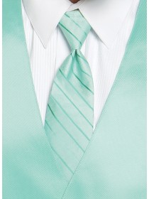 'Larr Brio' Simply Solid Tie - Mint Green